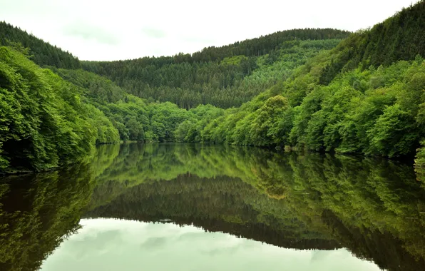 Greens, forest, reflection, trees, mountains, lake, Nature, forest