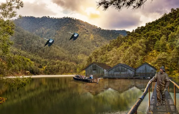 Forest, mountains, birds, nature, rendering, collage, boat, fisherman