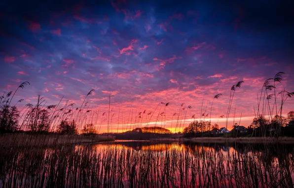 Picture the sky, grass, clouds, trees, sunset, orange, lake, reflection