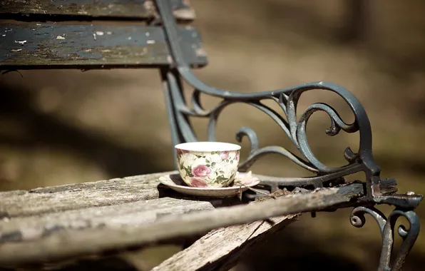 Background, Cup, bench