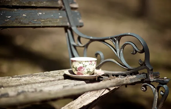 Picture background, Cup, bench