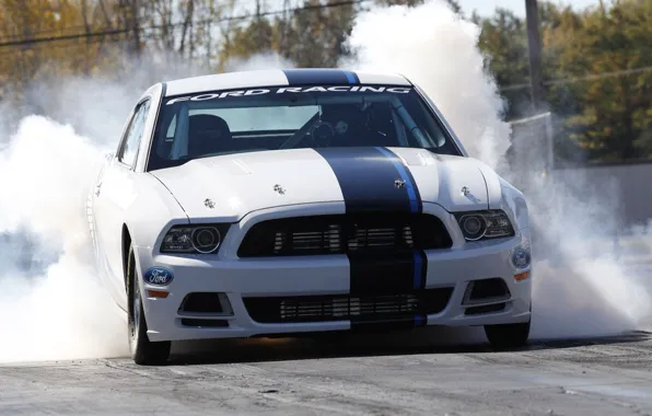 Machine, auto, smoke, shelby, ford mustang