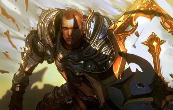 Shield, blizzard, diablo 3, Crusader