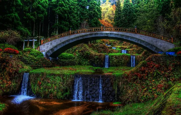 Trees, flowers, bridge, Park, waterfall, the evening, cascade