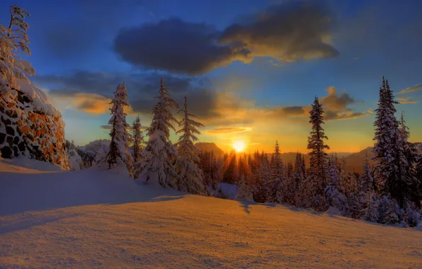 Winter, forest, the sky, clouds, snow, sunset, nature, tree