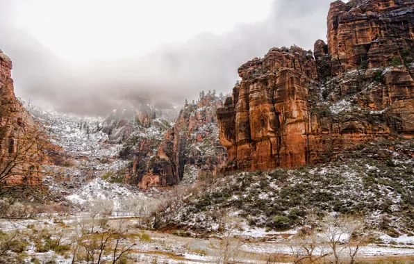 Rocks, canyon, Zion National Park, Utah