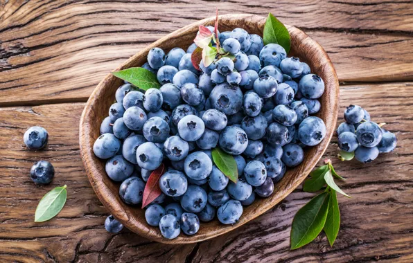 Picture berries, blueberries, basket, fresh, blueberry, blueberries, berries