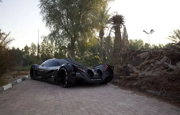 Picture black, rear view, Devel Sixteen