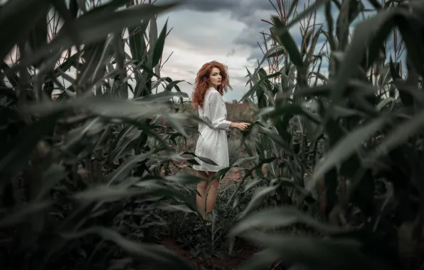 Field, summer, the sky, look, leaves, girl, clouds, nature