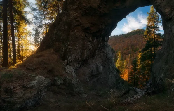Autumn, forest, the sky, light, trees, rock, stones, spruce