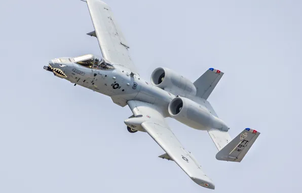 Picture weapons, the plane, A-10