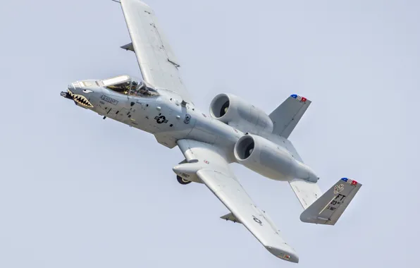 Weapons, the plane, A-10