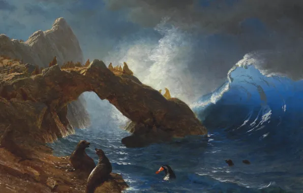 Picture animals, picture, seascape, Albert Bierstadt, Seals on the Rocks