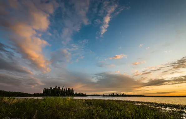 Picture clouds, trees, Jeff Wallace