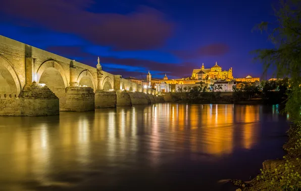 Picture the sky, night, bridge, lights, river, home, Church, Spain