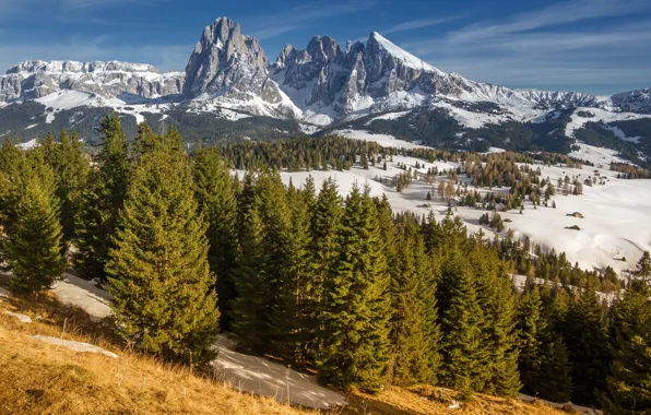 Snow, trees, mountains, Italy, South Tyrol, Dolomites, Sassolungo