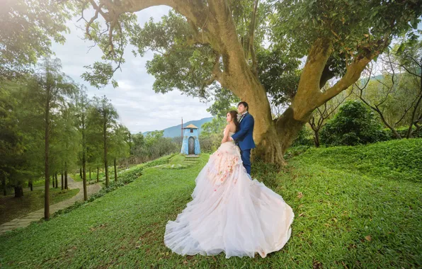 Girl, love, tree, Nature, Pair, guy, wedding, the couple