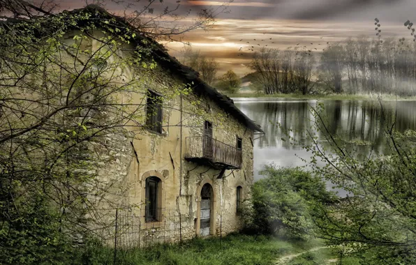 Trees, river, abandoned house