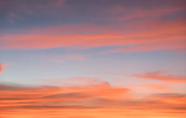 The sky, clouds, sunset, background, colorful, pink, sky, sunset