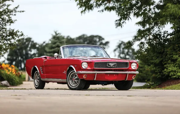 Mustang, Ford, Mustang, Ford, 1966