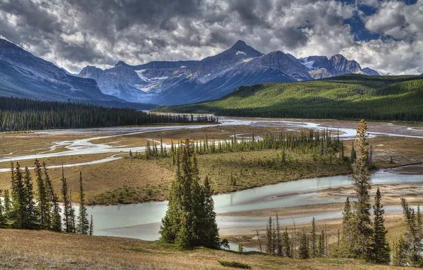 Forest, the sky, trees, mountains, clouds, river, valley