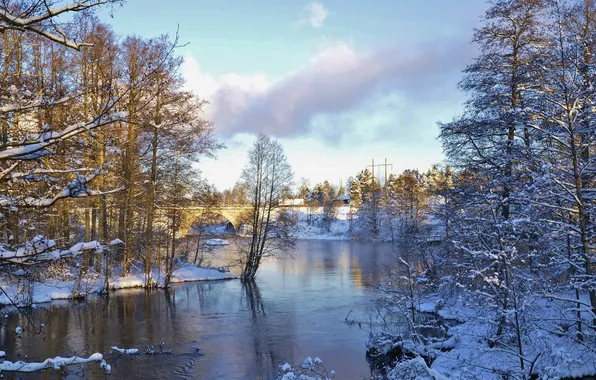 Winter, the sky, snow, trees, house, river