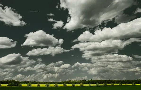 Field, the sky, landscape