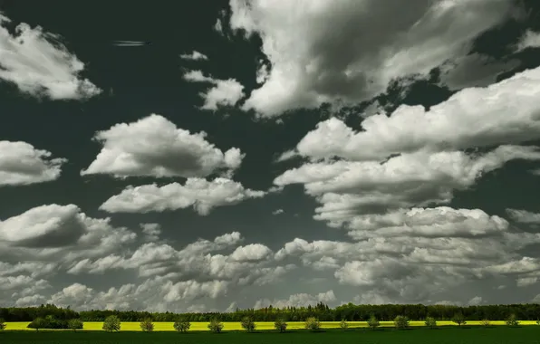 Picture field, the sky, landscape