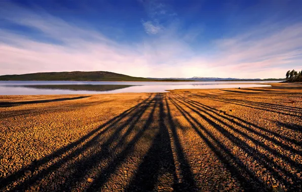 Nature, shore, shadows