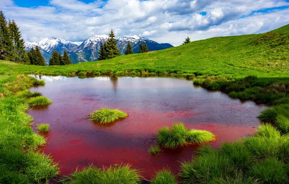 Greens, forest, grass, water, mountains, lake, red, shore