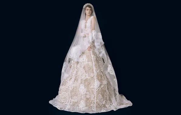 Model, dress, the bride, veil