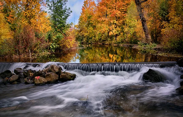 Forest, river, Canada, Ontario, thresholds