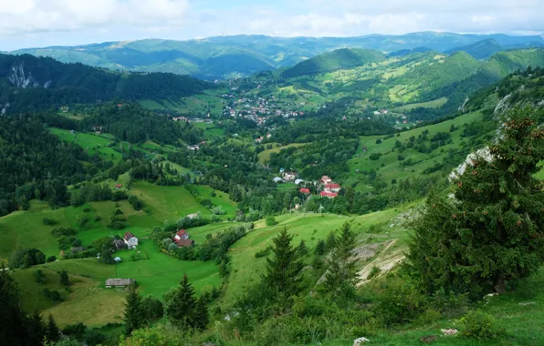 Greens, forest, the sky, clouds, trees, mountains, valley, panorama