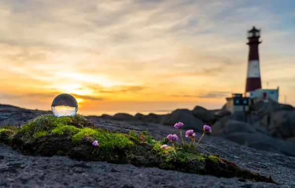 Sea, sunset, flowers, lighthouse, moss, yellow sky, glass ball