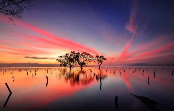 The sky, clouds, trees, lake, reflection, the evening, glow
