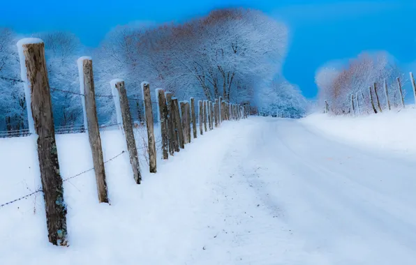 Winter, road, snow, the fence