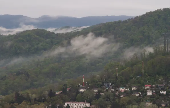 Forest, the sky, trees, mountains, nature, building, home, haze