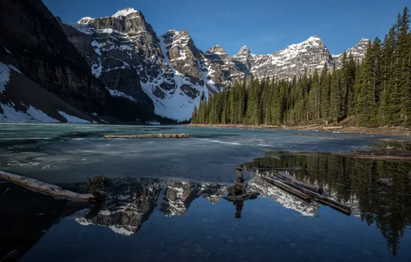 Forest, mountains, lake, Canada, Albert, Moraine