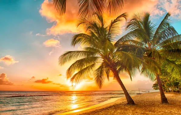 Sand, sea, beach, sunset, tropics, palm trees, shore, beach