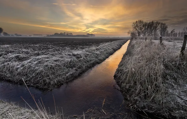 Frost, field, sunset