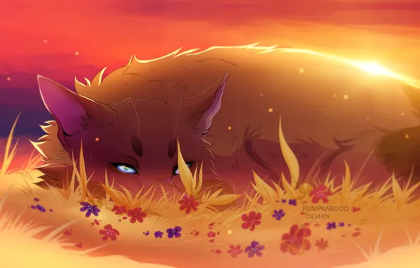 Sunset, tail, blue eyes, flowers, ears, in the grass, red Fox, fox demon