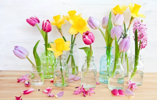 Flowers, yellow, petals, tulips, pink, daffodils, bottle