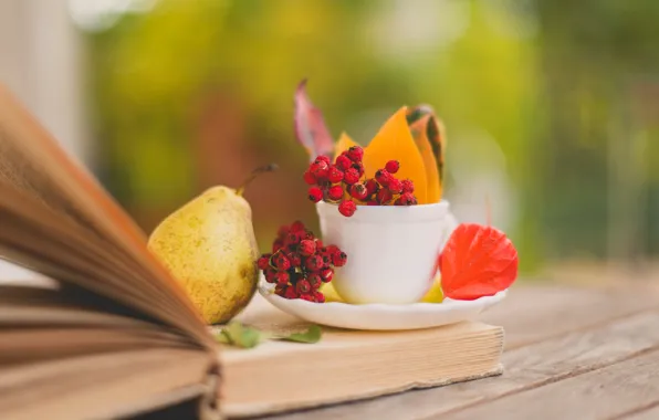 Autumn, leaves, berries, Cup, red, book, pear, leaves