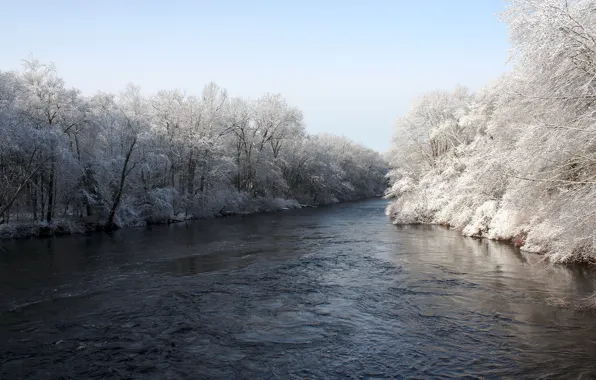 Winter, trees, river