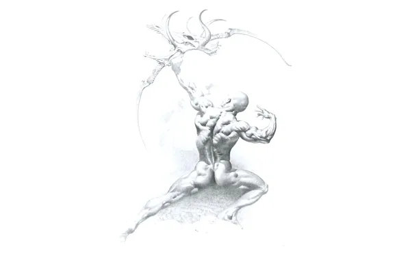 White, background, figure, back, bow, muscle, relief, Boris