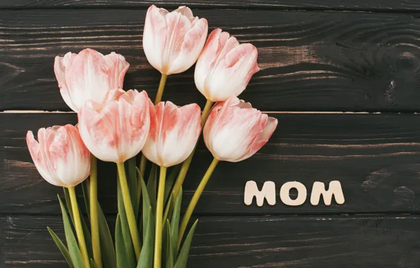 Flowers, bouquet, tulips, pink, happy, wood, pink, flowers