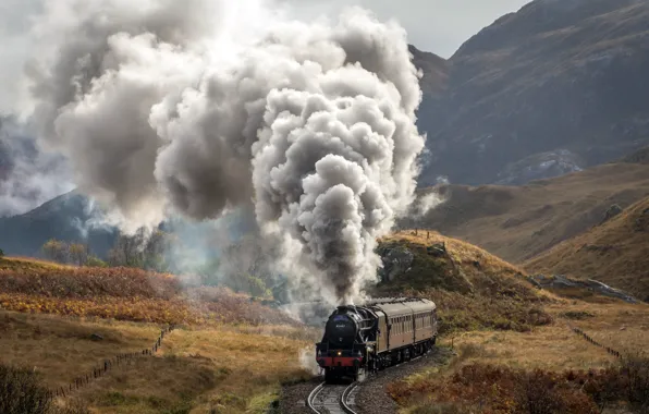 Picture nature, train, railroad