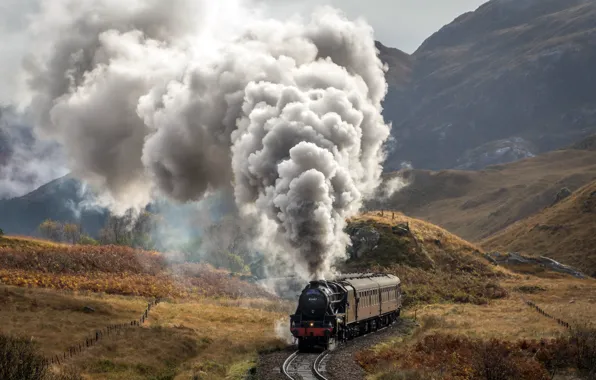 Nature, train, railroad