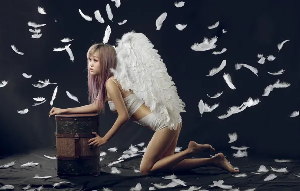 Picture wings, angel, feathers, Asian