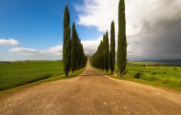 Picture italy, toscana, beautiful road